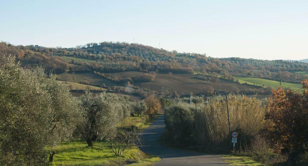 Le Casette Country House Petricci Exterior foto
